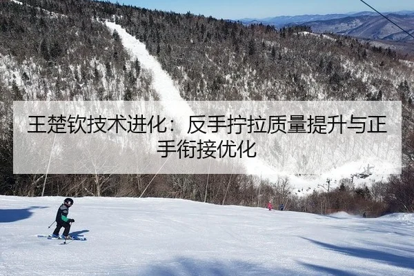 wang-chu-qin-ji-shu-jin-hua-fan-shou-ning-la-zhi-liang-ti-sheng-yu-zheng-shou-xian-jie-you-hua-3-748.jpg