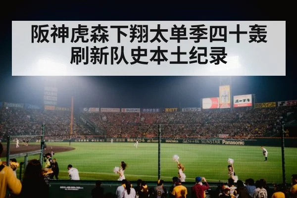 baseball stadium night game