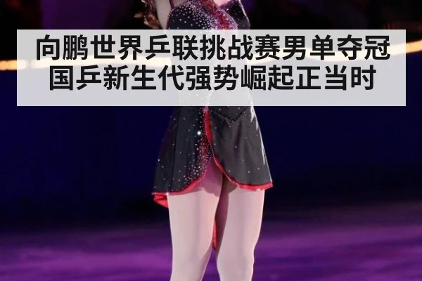 向鹏世界乒联挑战赛男单夺冠 国乒新生代强势崛起正当时